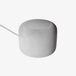 Wireless Smart Speaker