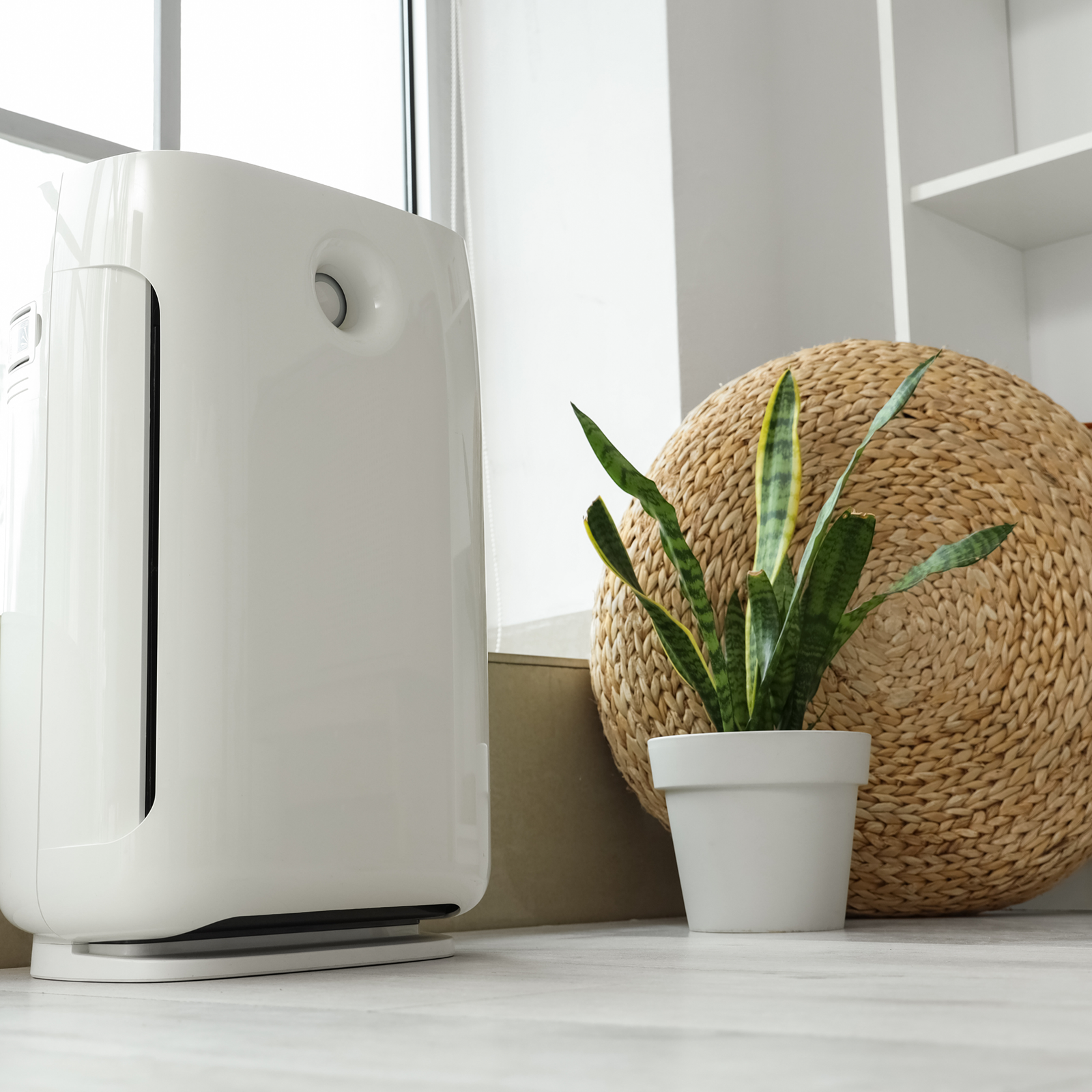 Smart Air Purifier — PureAir S5
