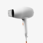 BreezePro Ionic Hair Dryer
