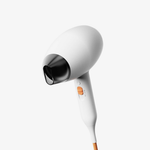 BreezePro Ionic Hair Dryer